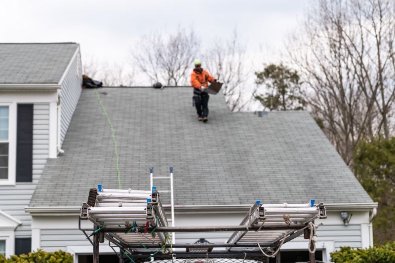 Local Roofing Experts